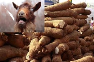 yam and goat